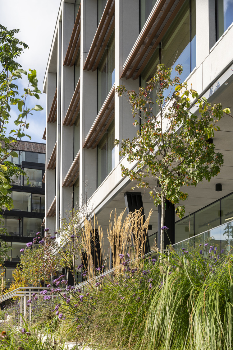 A proportioned façade of double height precast concrete subframe infilled with perforated metal brise-soleil is complimented by bio diverse landscaping.