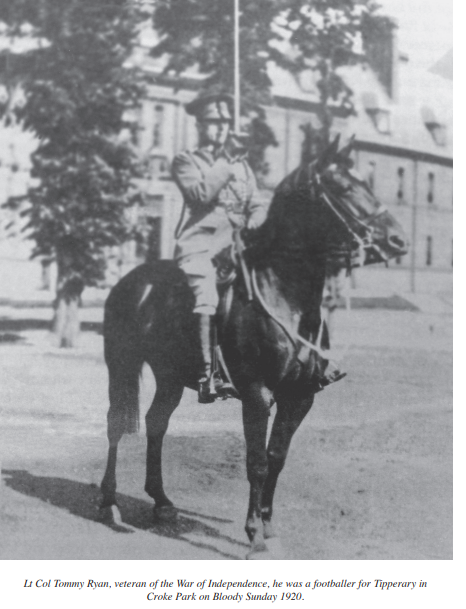 Cavalry Officer with a sword on a horse