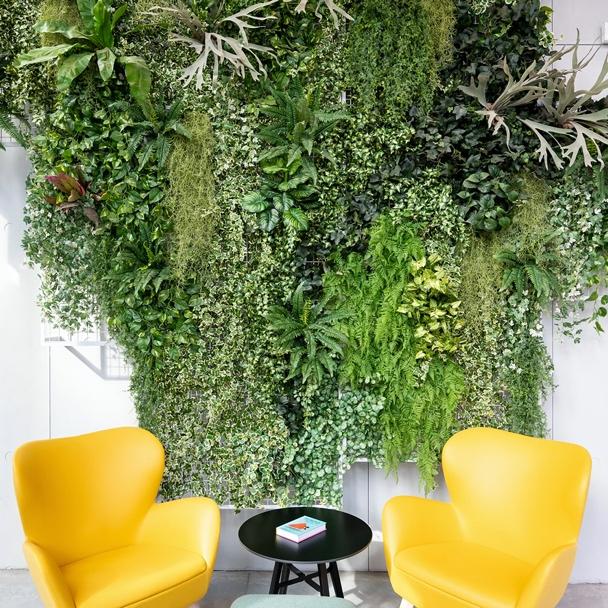 Two yellow bucket chairs, with black circular chair in middle with leafy green foilage hanging on wall behind