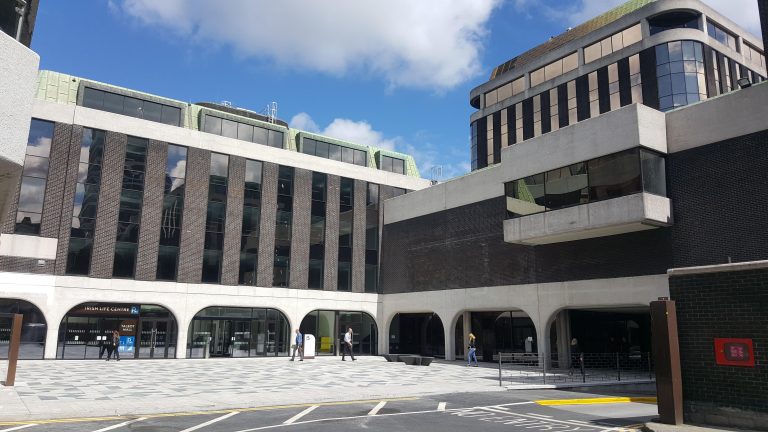 Irish Life in a Changing World