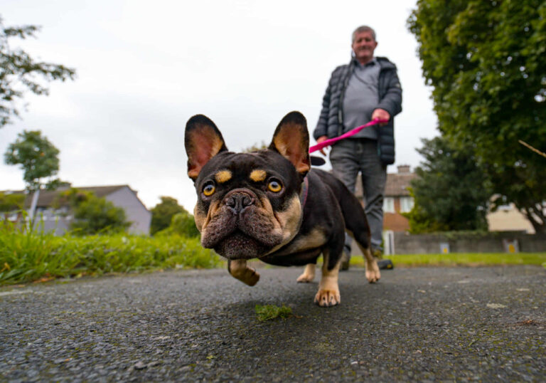 Who is my Neighbour: Loughlinstown Court