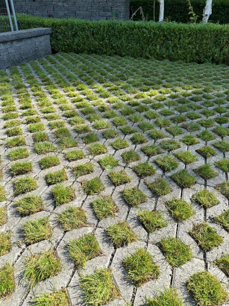 Driving Sustainable Innovation: Kilsaran’s Commitment and Ireland’s Built Future