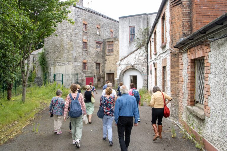 Pop-up Visits to Kilmainham Mill