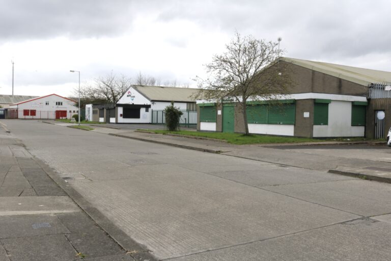 Neither Time nor Beauty are Absent: Walking Tour of Dublin Industrial Estate
