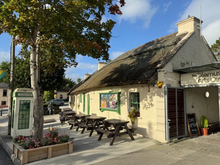 The Seamus Ennis Arts Centre