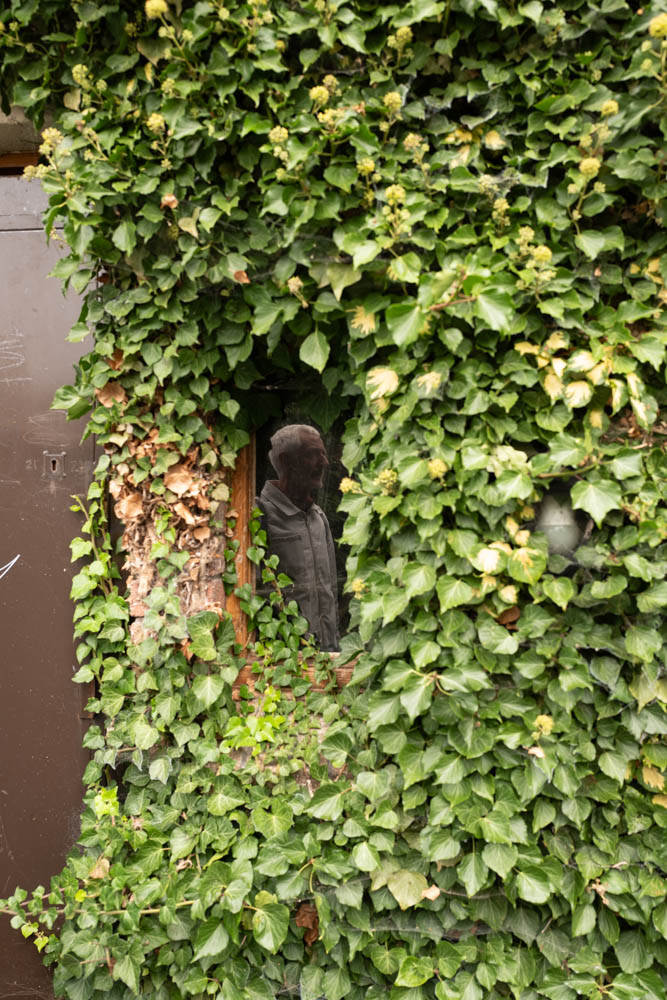 Heritage in the Ordinary: Landscape and Housing Design
