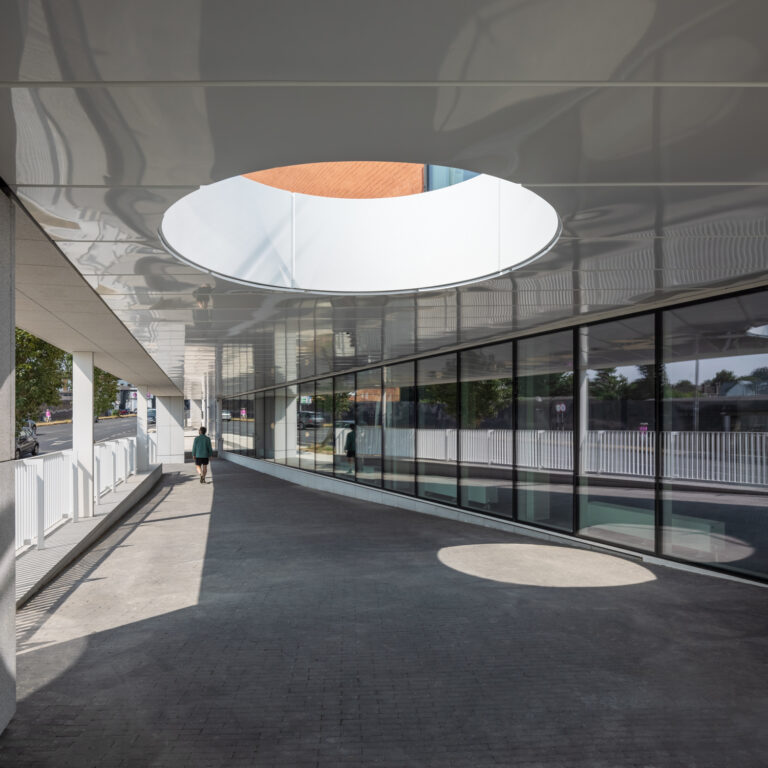 Tour of St. Laurence’s Park, Stillorgan Library and Housing Development
