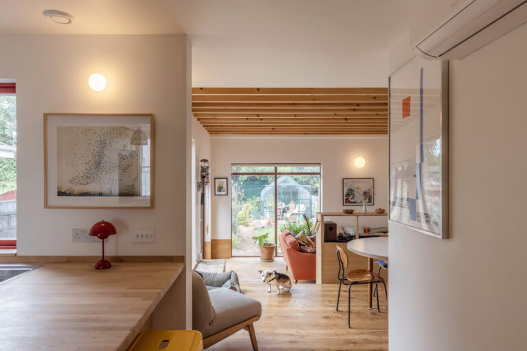 St. Fintan’s Villas by Robert Bourke Architects